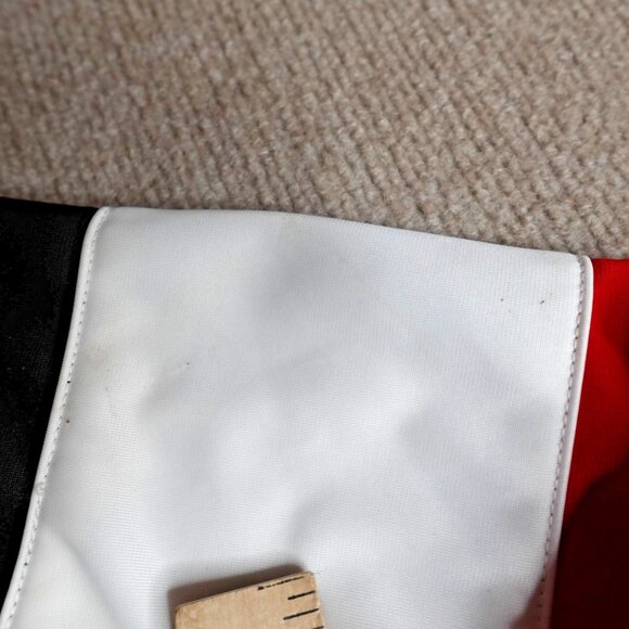 Red Wings Jacket Medium Detroit Tailored Warm Up Embroidered Mitchell & Ness - Picture 4 of 13